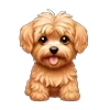 🐶