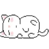 🐱