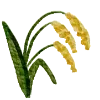 🌾