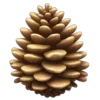 🎄