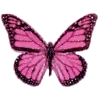 🦋