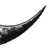 🌙