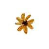🌼
