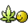 🌿