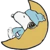 🌙