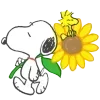 🌻