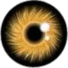 👁