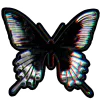 🦋