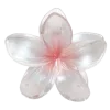 🌺