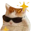 😎