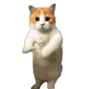 🕺