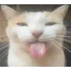 😛