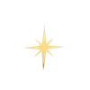 🌟