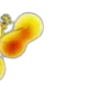 🌼
