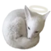 🐇