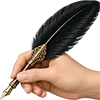 ✍️