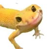 🙂
