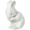 🐇