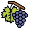 🍇