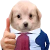 😎