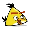 🦤