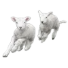 🐑