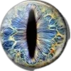 👁