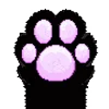 🐾