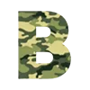 ⭐