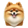 🐶