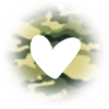 ⭐