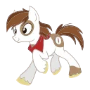 🐴