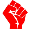✊