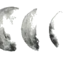 🌕