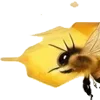 🐝