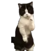 🕺
