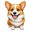 🐶