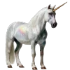 🦄