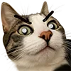 😯