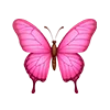 🦋