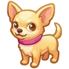 🐶