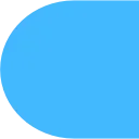 🔹