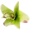💐