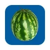 🍉