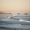 🌊