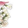 🌼