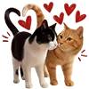 👫