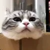 📦