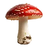 🍄