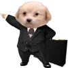 😎